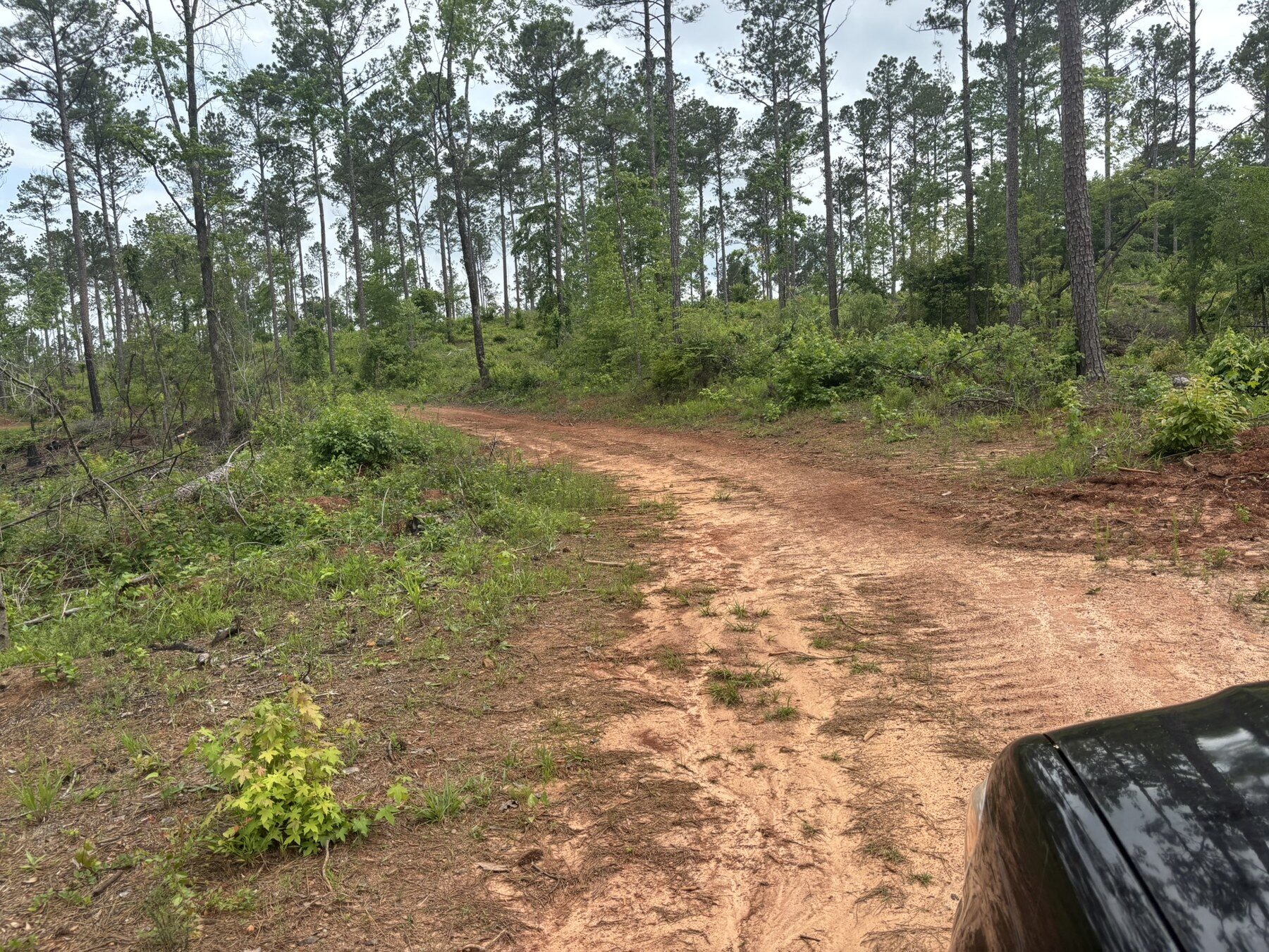 Fire Break & Road Maintenance