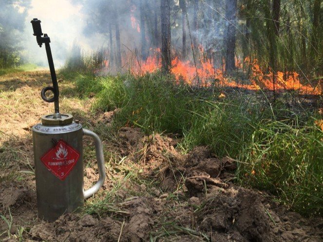 Prescribed Burning