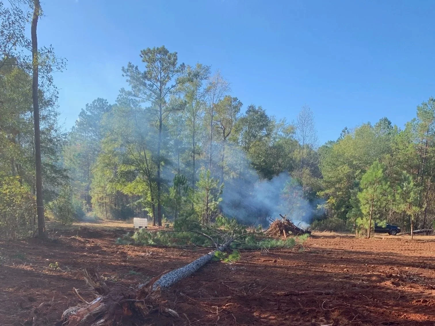 Prescribed burn in progress on managed land