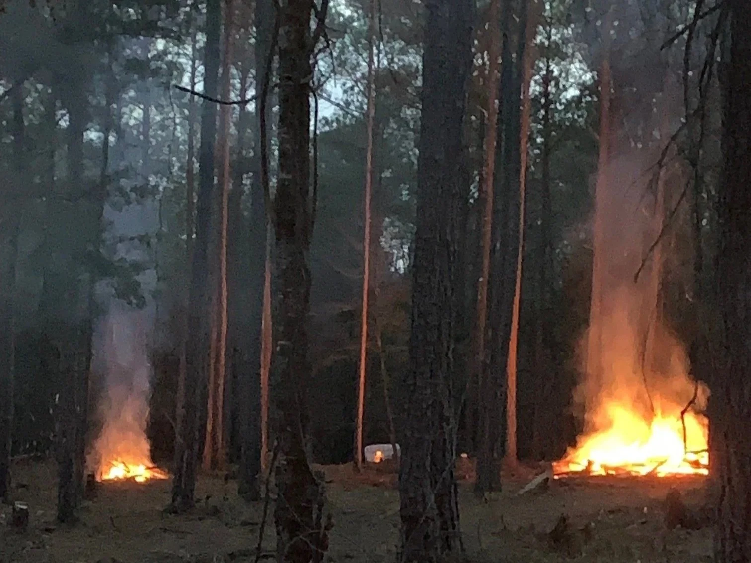 Burn piles during land clearing operations