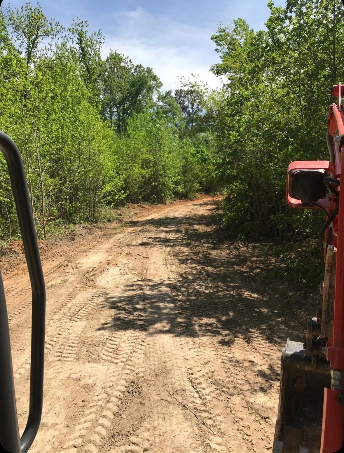 Maintained fire break along a timber tract