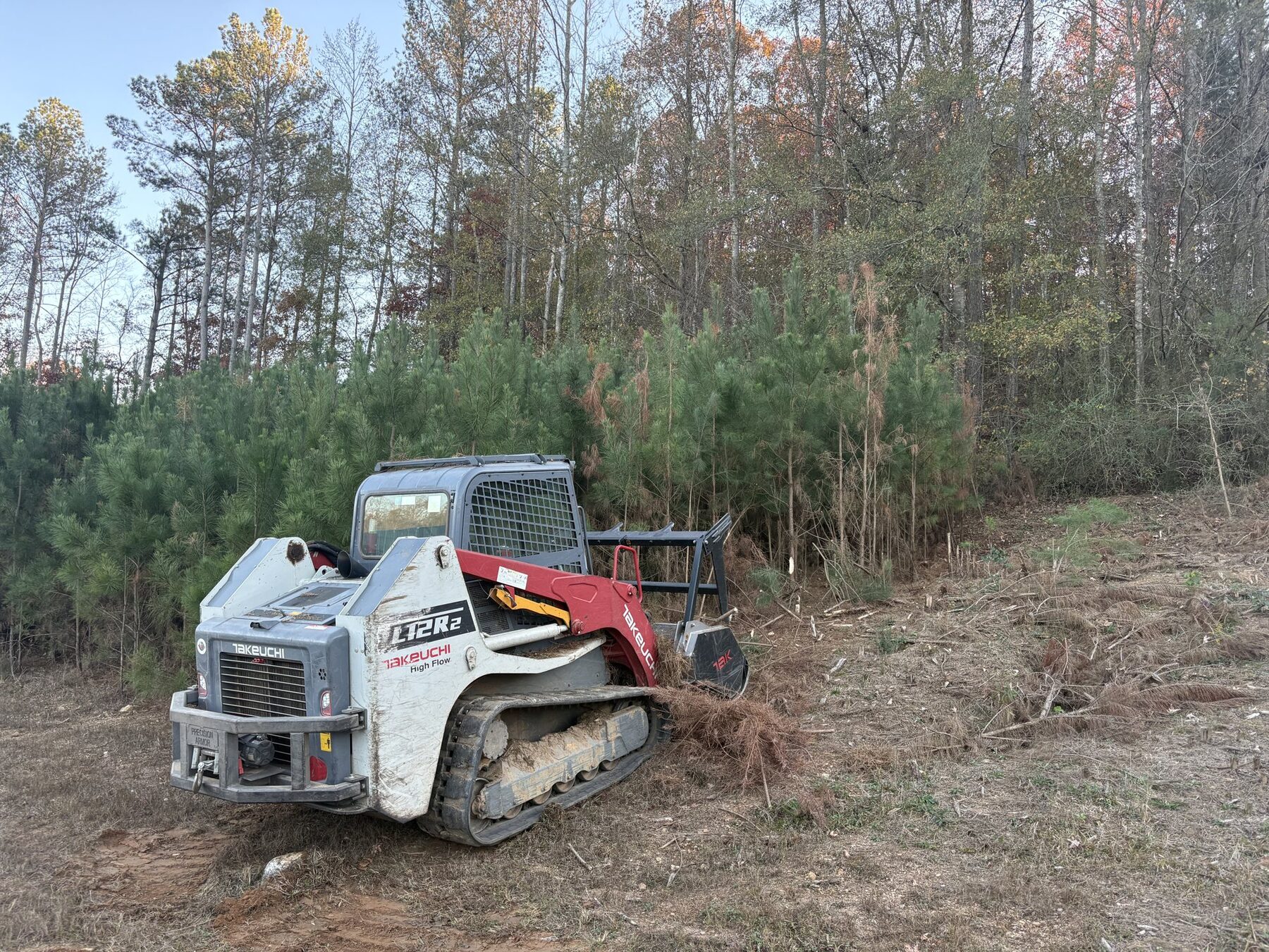 Track mulcher working through overgrown understory