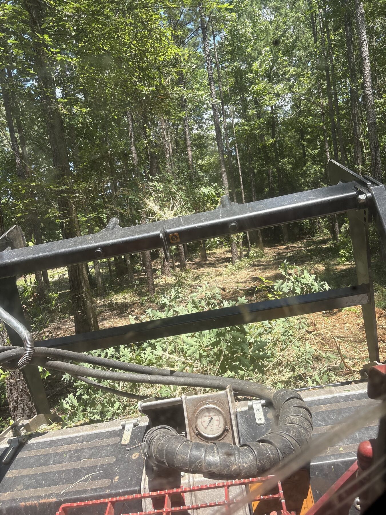Cleared tract after forestry mulching