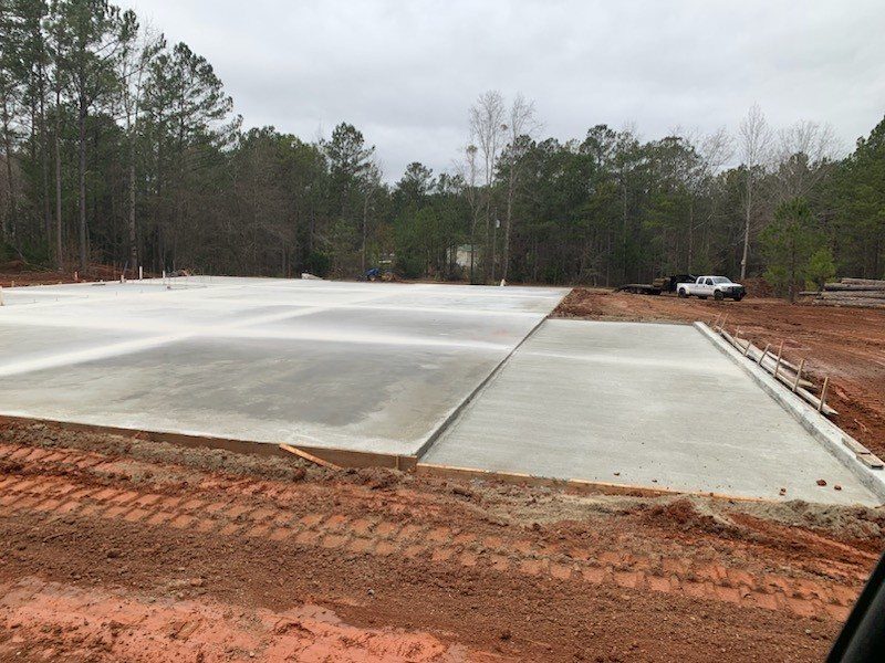 Thinned pine stand opened up for site prep
